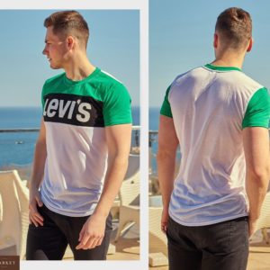 Приобрести дешево мужскую футболку турецкую Левис больших размеров зеленого цвета оптом Украина