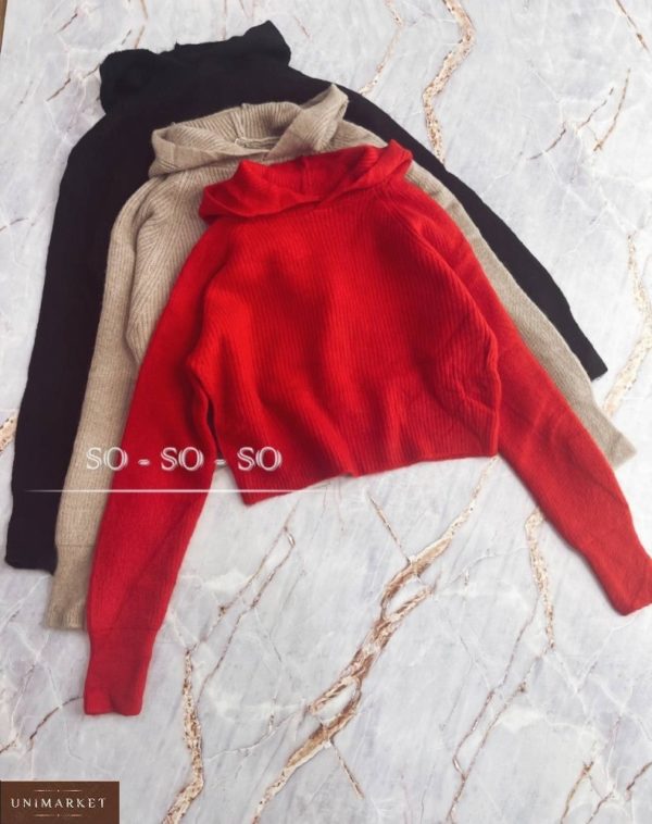 Заказать онлайн женский свитер с капюшоном красный, беж, черный